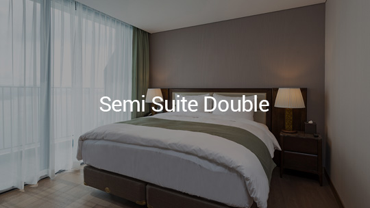 Semi Suite Double